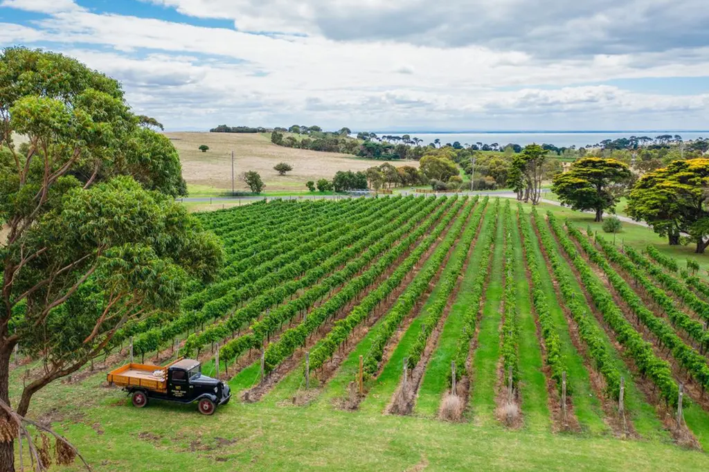 Portarlington Grand Hotel image 6