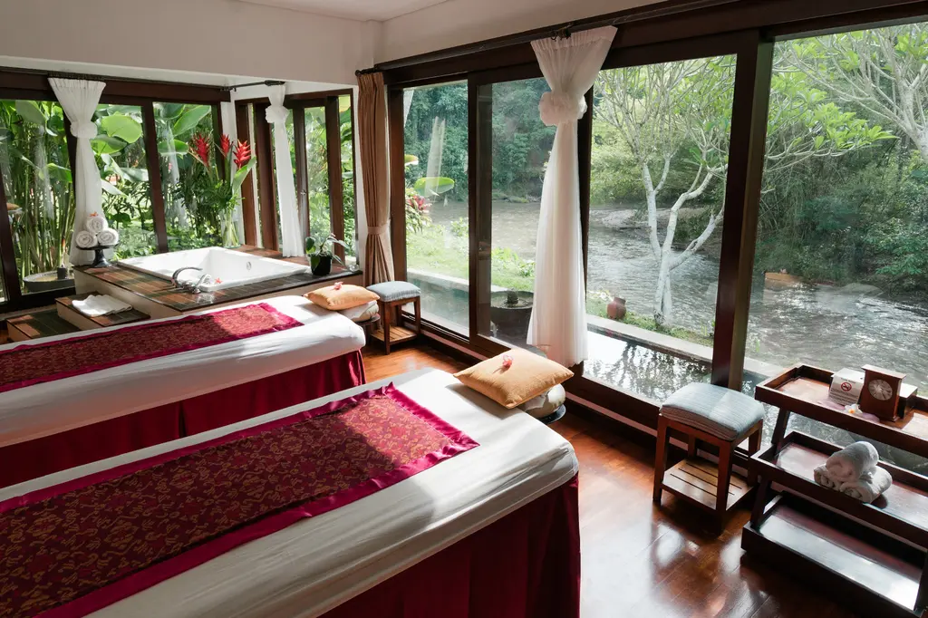 The Samaya Ubud Bali image 14