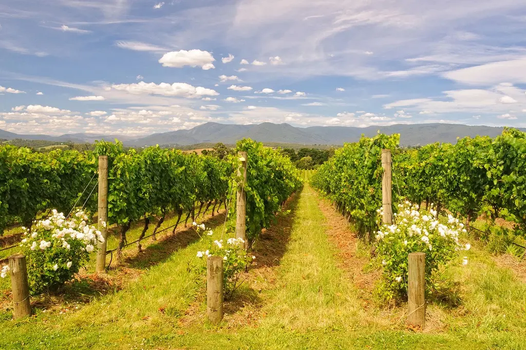 Peppers Marysville image 10