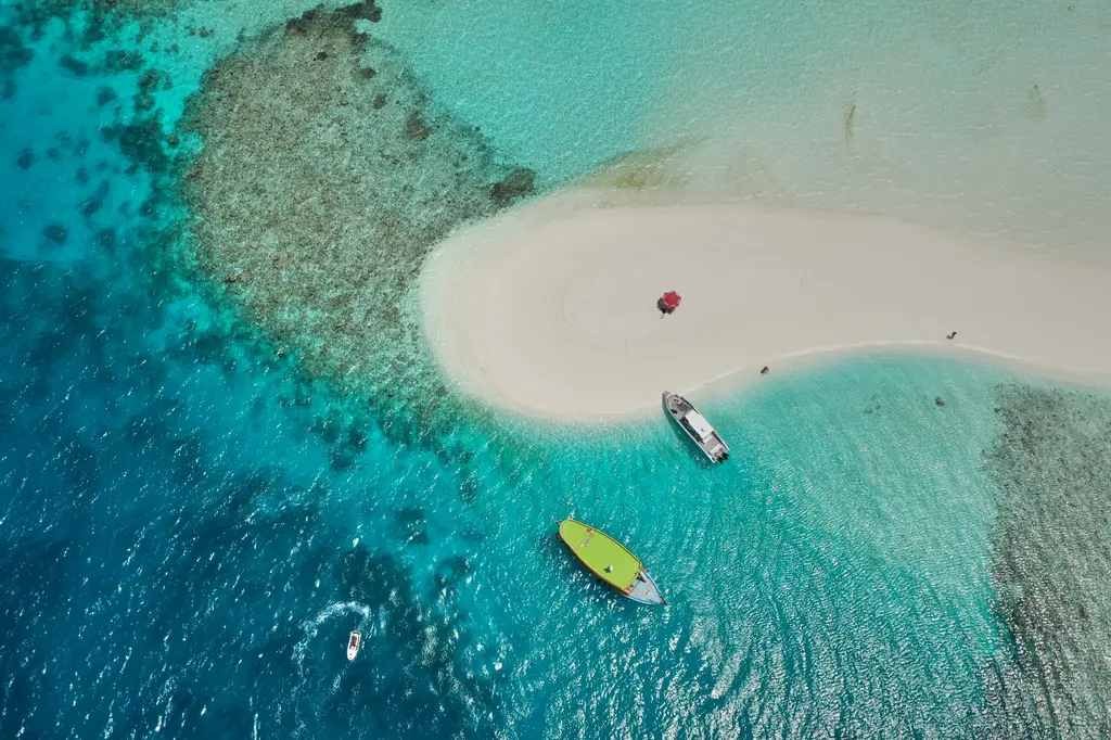 Coco Bodu Hithi image 15