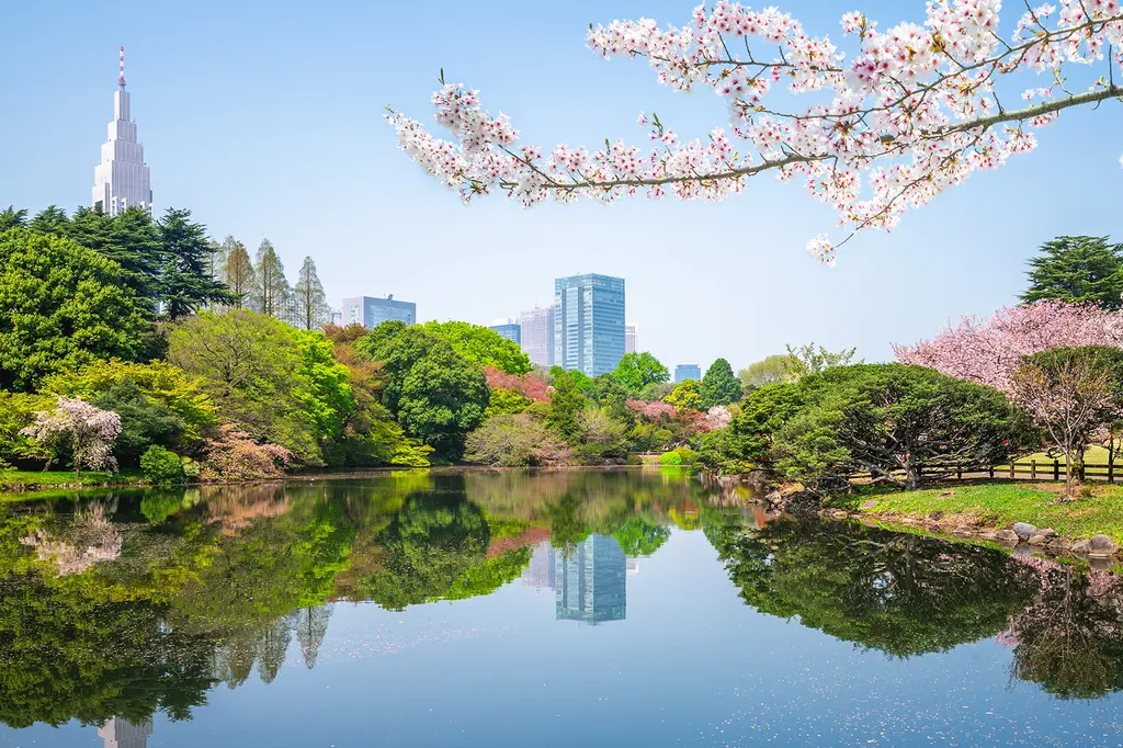 Kimpton Shinjuku Tokyo image 6
