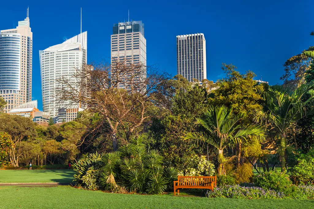 Paradox Sydney image 6