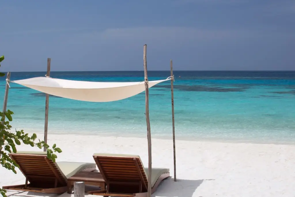 Coco Bodu Hithi image 12