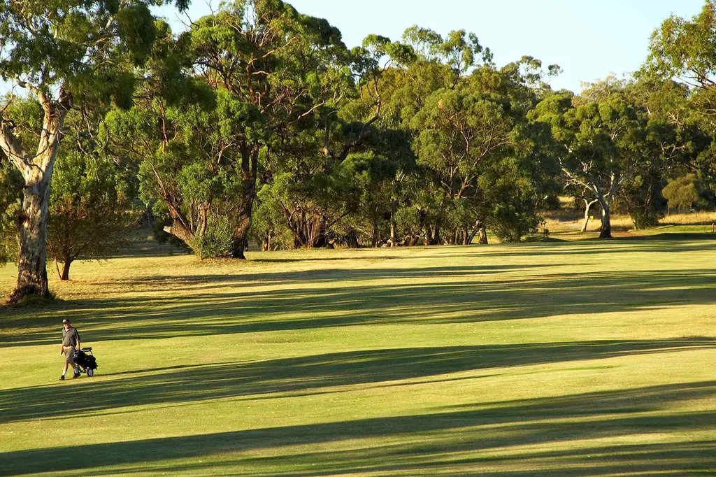 Novotel Barossa Valley Resort image 9