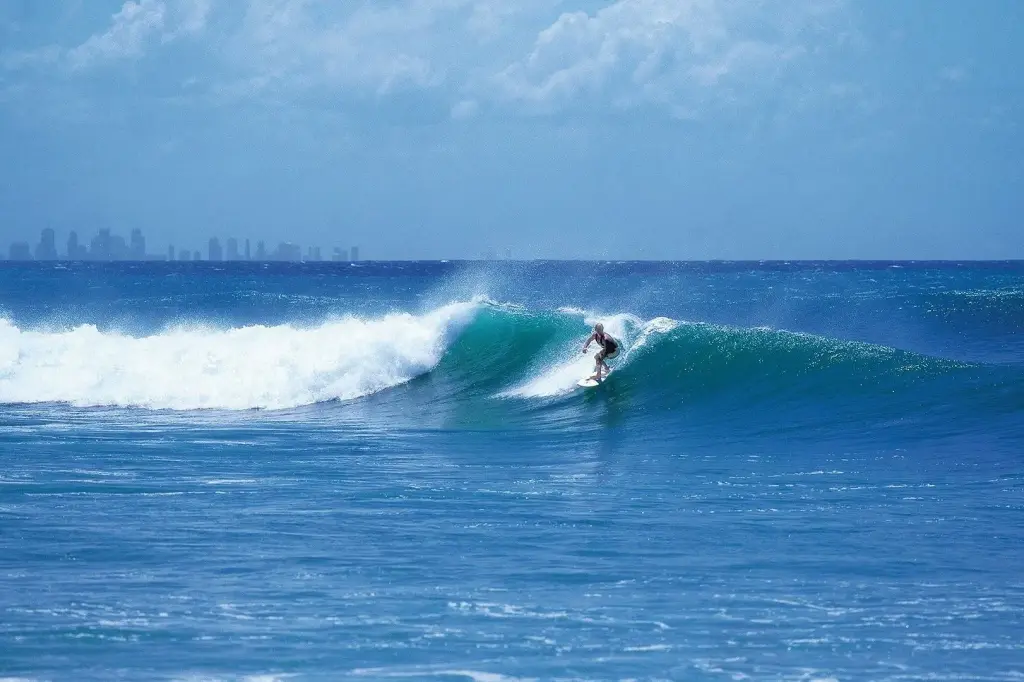 Iconic Kirra Beach Resort image 7