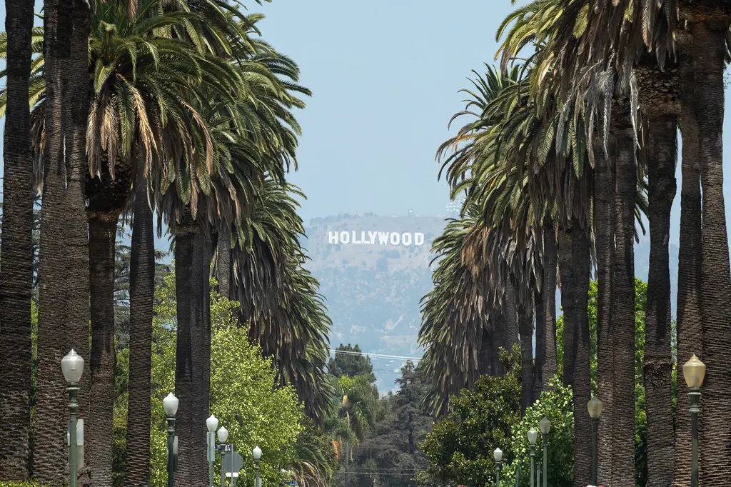 Dream Hollywood, by Hyatt image 2