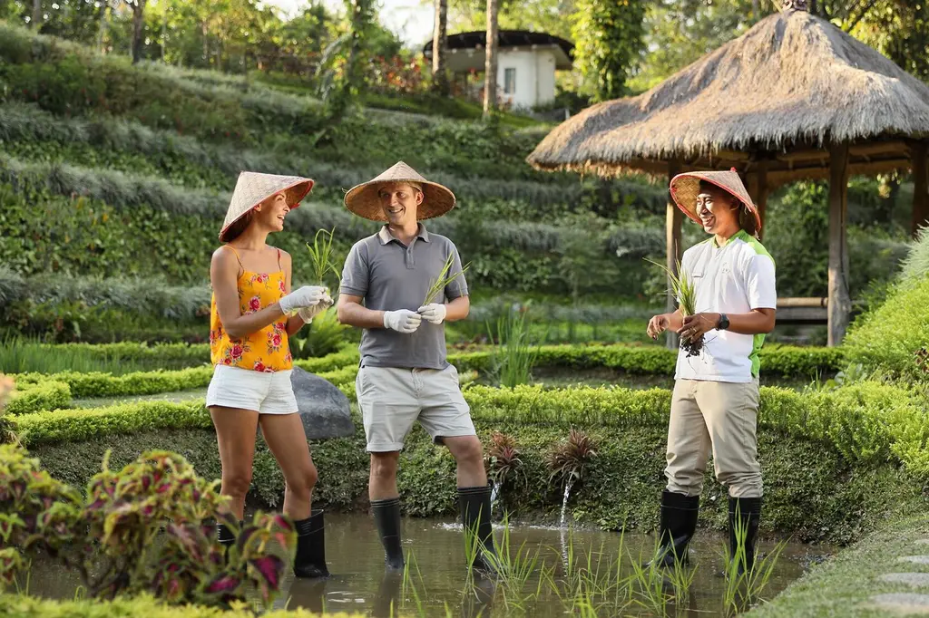 Padma Resort Ubud image 15