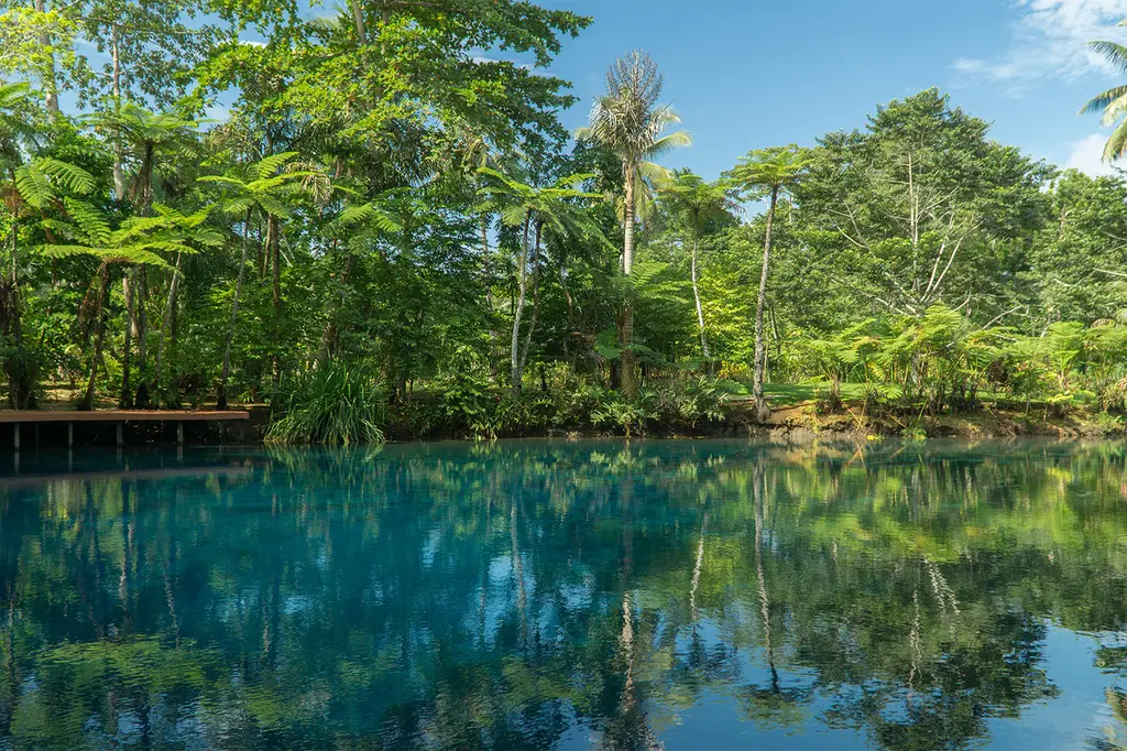 Exclusive Sunrise Resort image 10